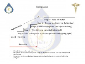 hjarntrappan_2